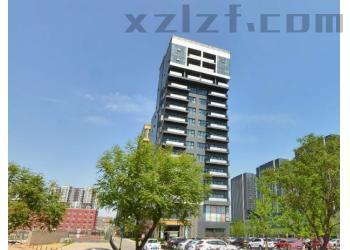 兴创・D标写字楼