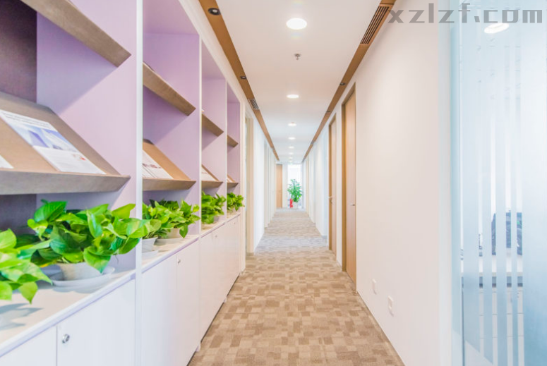 雷格斯（乐成中心）