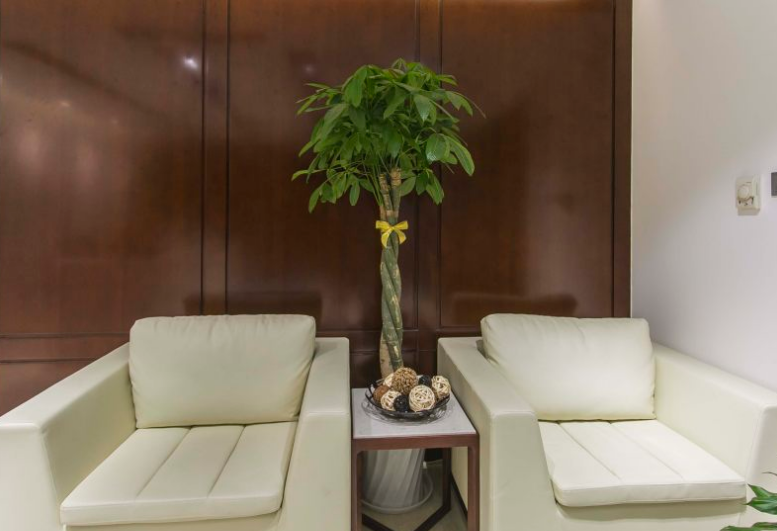 瑞阁壹号Regency-One（中环世贸中心）立面