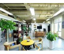 盈坤世纪0豪华装修560㎡