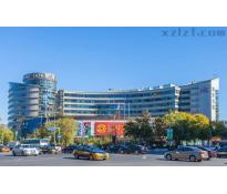 东升大厦0精装修249㎡