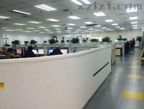 26144