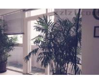 雷格斯（环球贸易中心）住宅精装修369㎡