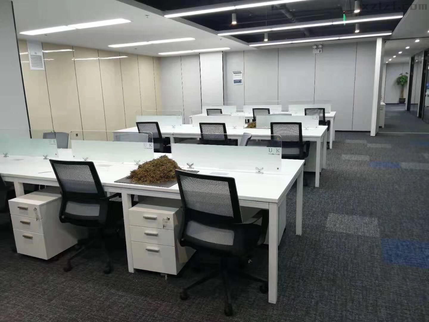 31591