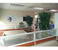 三里屯SOHO（三里屯soho）写字楼精装修598㎡